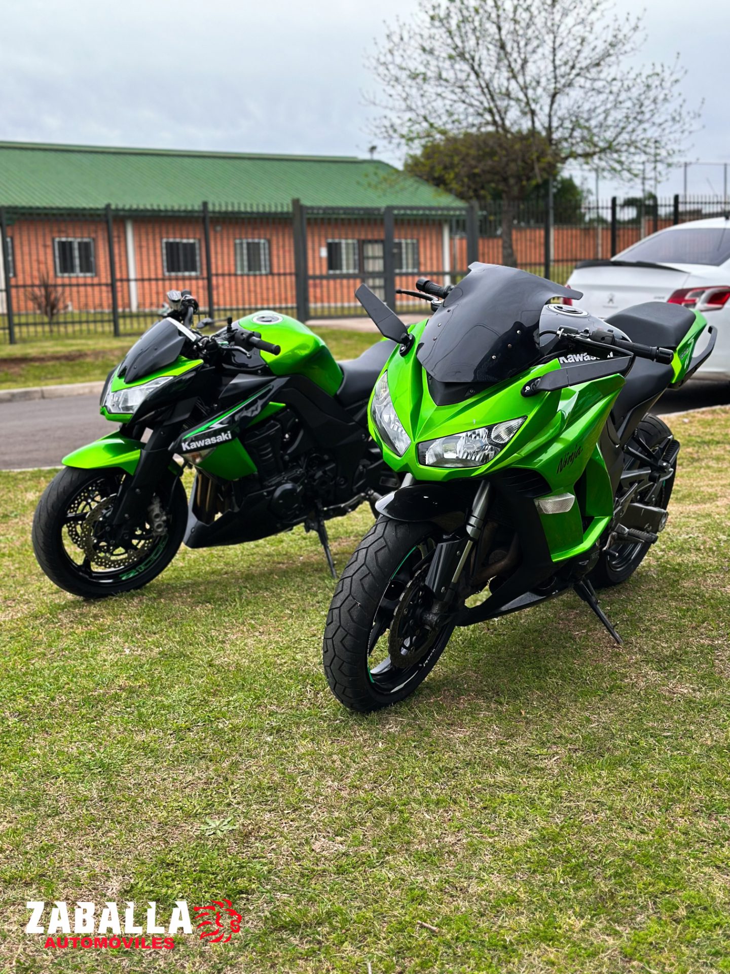 Kawasaki Ninja 1000