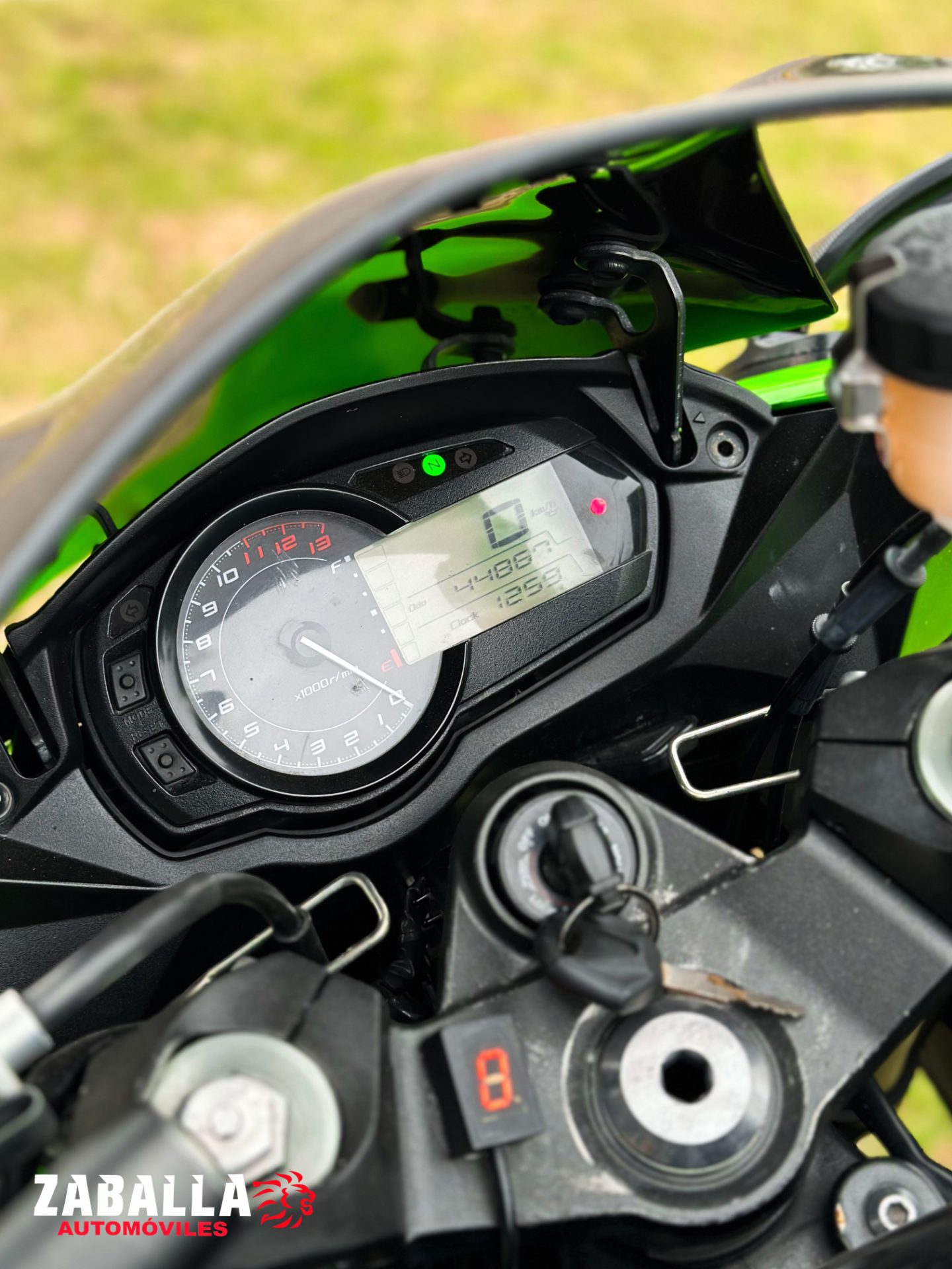 Kawasaki Ninja 1000